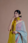 Neel Kamal Chanderi Saree