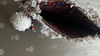 Carpet Clutch with Bagh Lining – Texture Outside, Print Within